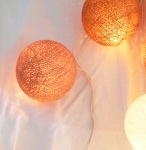 Brown white autumn lights 5_sml.jpg
